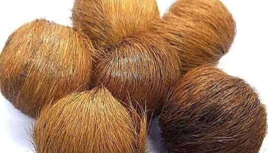 কস্তুরী  কি ? এবং কোথায় পাওয়া যায় ?